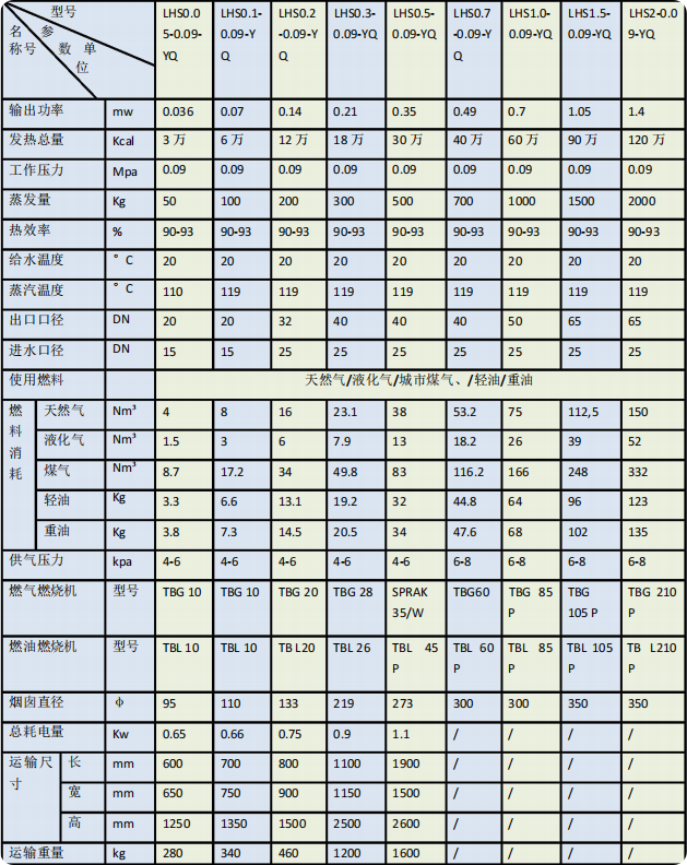 立式燃油气蒸汽发生器.png